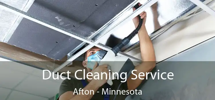 Duct Cleaning Service Afton - Minnesota