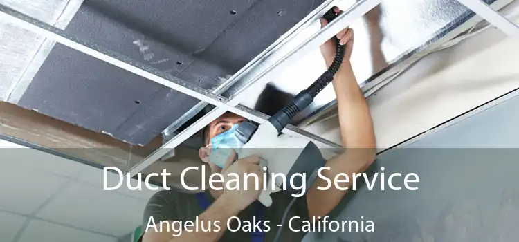 Duct Cleaning Service Angelus Oaks - California