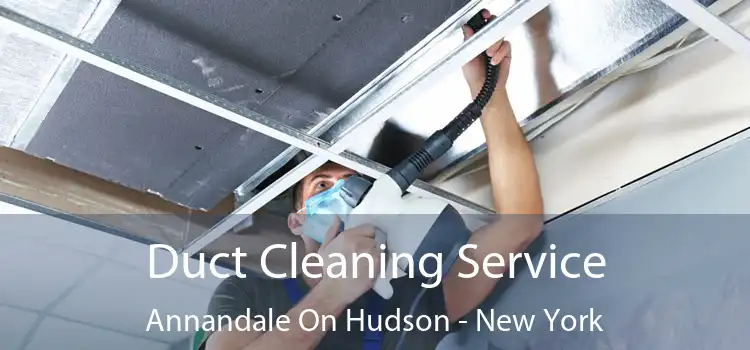 Duct Cleaning Service Annandale On Hudson - New York