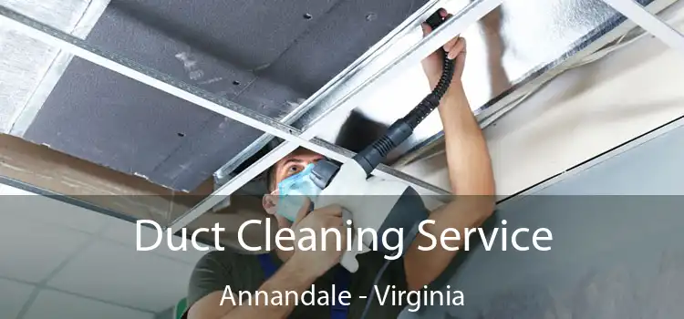 Duct Cleaning Service Annandale - Virginia