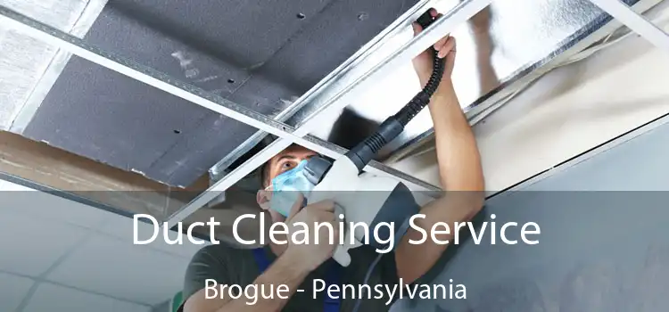 Duct Cleaning Service Brogue - Pennsylvania