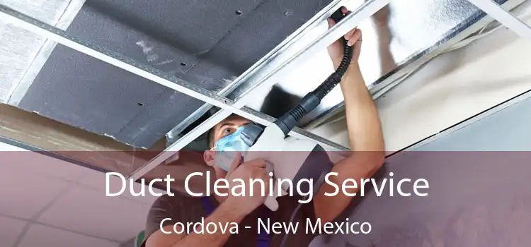 Duct Cleaning Service Cordova - New Mexico