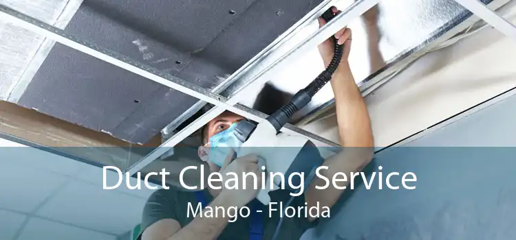 Duct Cleaning Service Mango - Florida