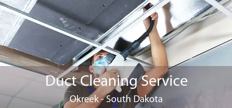 Duct Cleaning Service Okreek - South Dakota