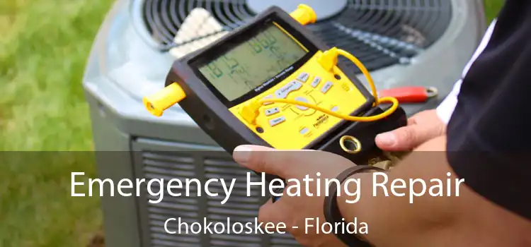 Emergency Heating Repair Chokoloskee - Florida