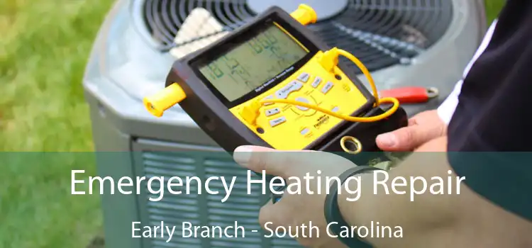 Emergency Heating Repair Early Branch - South Carolina