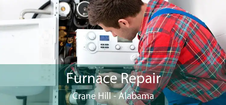 Furnace Repair Crane Hill - Alabama