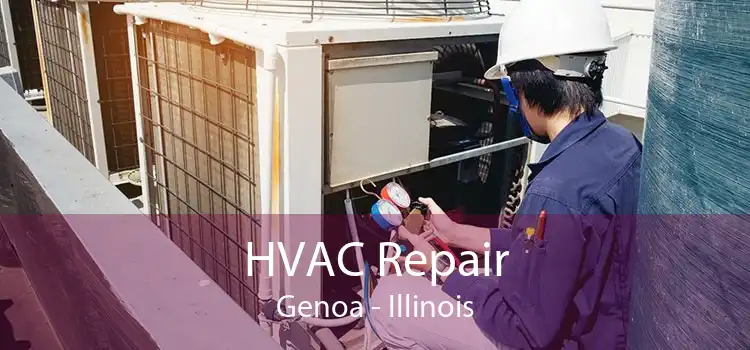 HVAC Repair Genoa - Illinois